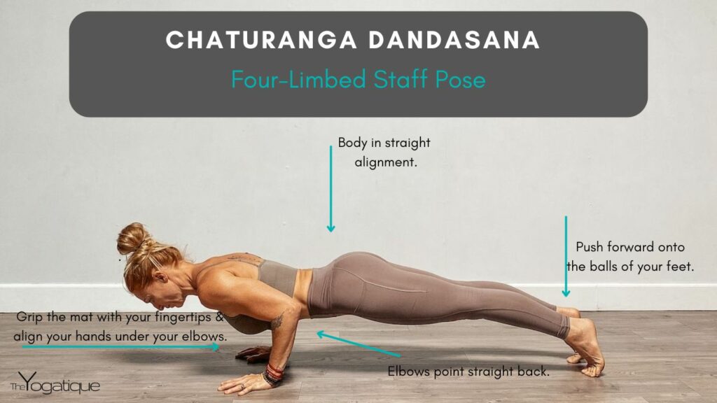 Female yoga teacher demonstrating how to do chaturanga dandasana plus cues for how to do this yoga pose.