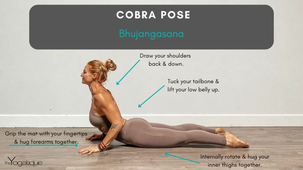 Female yoga teacher demonstrating cobra pose plus how to do cobra pose step by step.