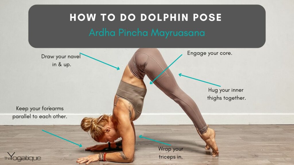 Female yogi in Dolphin Pose + how to do Dolphin Pose step by step.