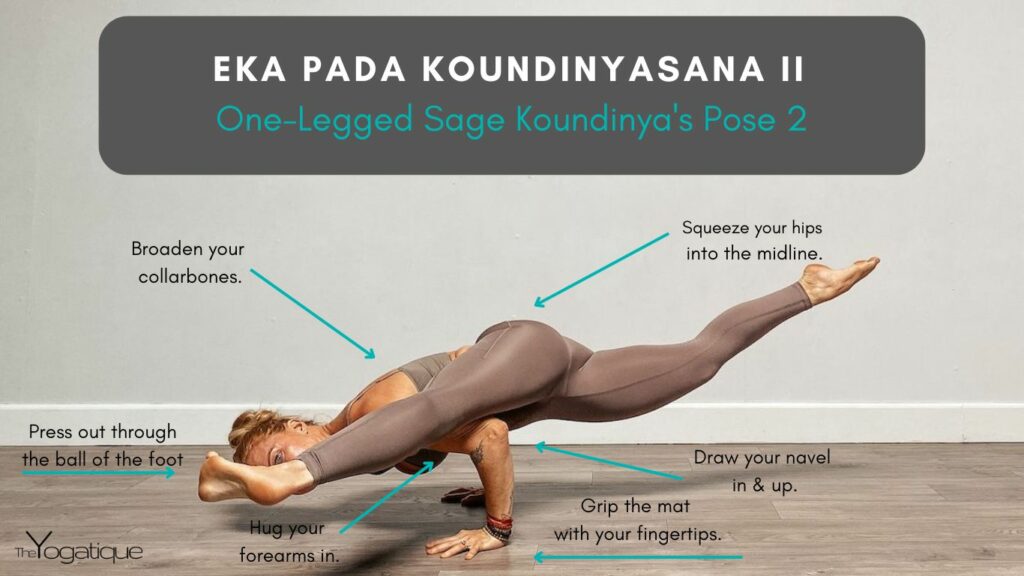 Female yogi doing Eka Pada Koundinyasana plus how to do Eka Pada Koundinyasana step by step.