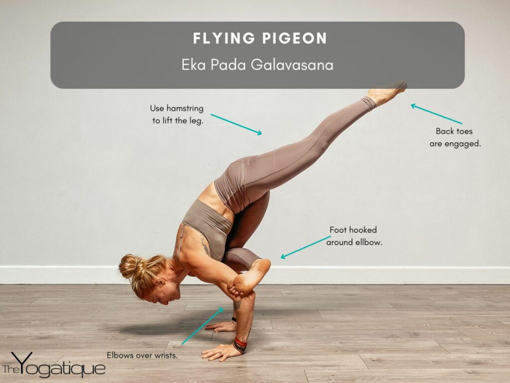 Yoga instructor showing how to do Flying Pigeon Pose - Eka Pada Galavasana with cues.