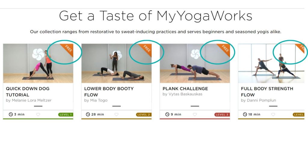 Yoga teachers teaching yoga classes online on MyYogaWorks website.