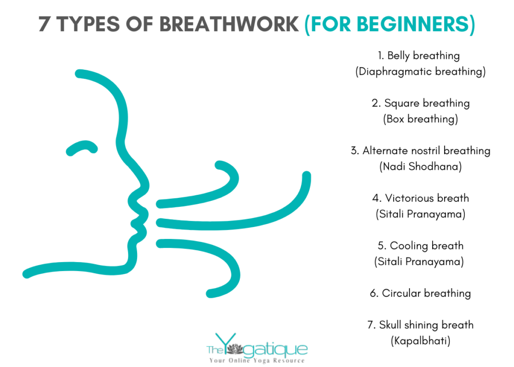 7 types of breathwork for beginners: 1. Belly breathing 2. Square breathing 3. Alternate nostril breathing 4. Victorious breath 5. Cooling breath 6. Circular breathing 7. Skull shining breath