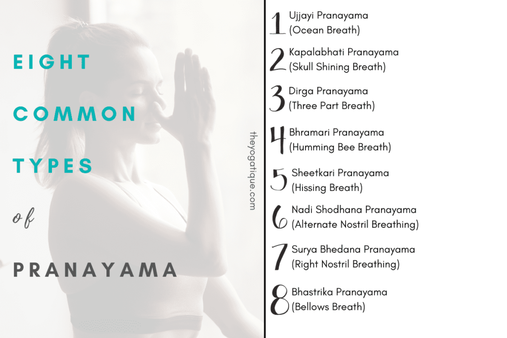 8 types of pranayama. 1.Ujjayi Pranayama (Ocean Breath), 2. Kapalabhati Pranayama (Skull Shining Breath), 3. Dirga Pranayama (Three Part Breath), 4. Bhramari Pranayama (Humming Bee Breath), 5. Sheetkari Pranayama (Hissing Breath), 6. Nadi Shodhana Pranayama (Alternate Nostril Breathing), 7. Surya Bhedana Pranayama (Right Nostril Breathing), 8. Bhastrika Pranayama (Bellows Breath)