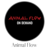 My Animal Flow Review Reveals How You Can Gain Strength & Mobility With Bodyweight Movements