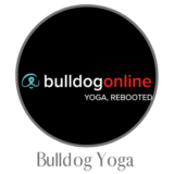 My Bulldog Yoga Review Reveals Why Bulldog Yoga Is So Popular