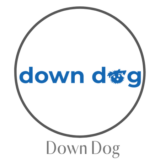 My Down Dog App Review Has All The Info On This Popular Yoga App To Practice Yoga At Home