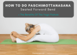 How To Do Seated Forward Fold In Yoga + 10 Benefits Of Doing Seated Forward Bends