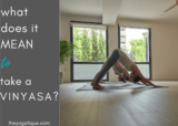 What Does It Mean To Take A Vinyasa? + How To Take A Vinyasa In 4 Steps